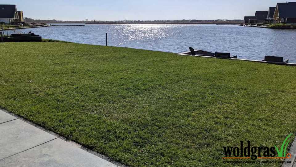 Aanleg graszoden Meerstad 